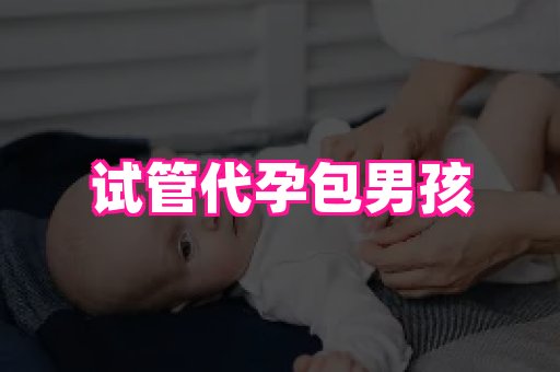 合肥助孕网站 2