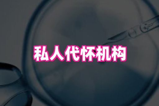 合肥助孕网站 3