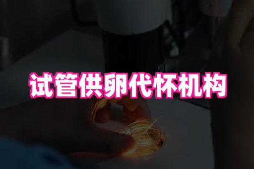 合肥助孕网站 4
